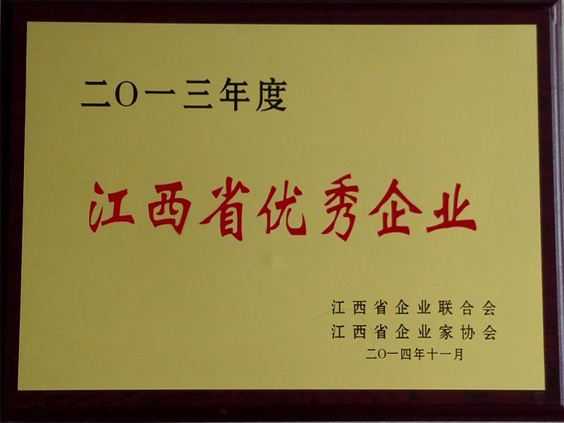 Outstanding enterprise of jiangxi province in 2013