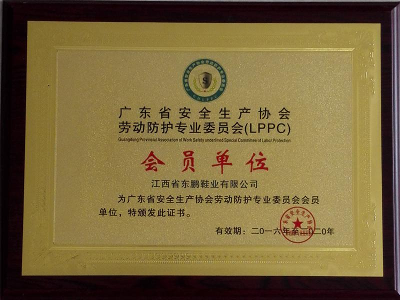 2016 guangdong safety production association labor protection professional committee